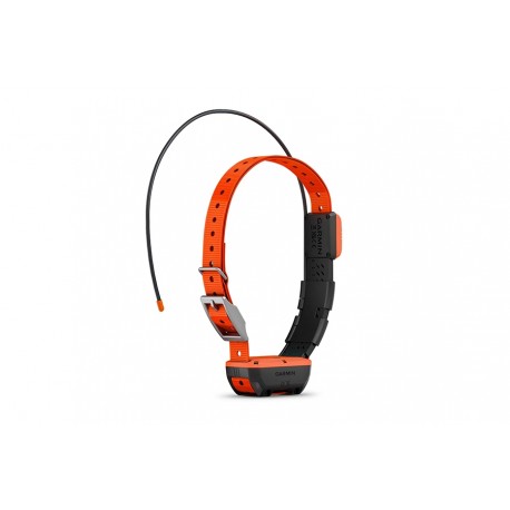 Collare Garmin T20K